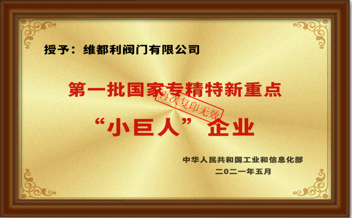 專精特新“小巨人”企業(yè)